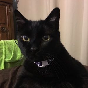 Meet your Posher, Maria