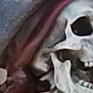 Meet your Posher, Diego