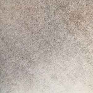 Meet your Posher, Candace