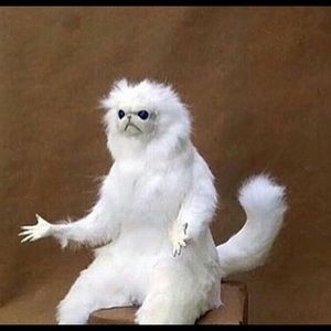 Meet your Posher, Branden