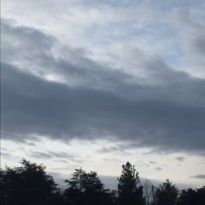 Meet your Posher, Elisabeth