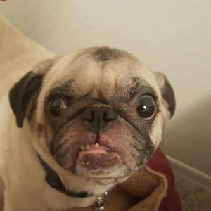 Meet your Posher, Jose