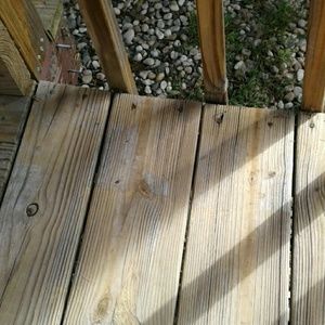 Meet your Posher, Paula