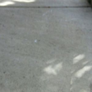 Meet your Posher, Johnny