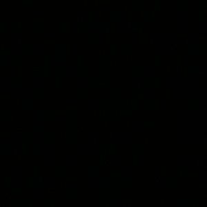 Meet your Posher, Omar