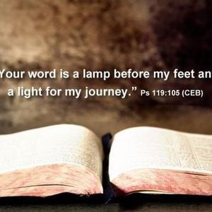 Meet your Posher, Isabel