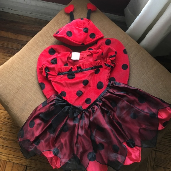 Baby girl Halloween lady bug costume 🐞
