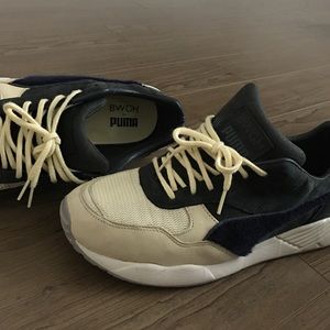 BWGH for PUMA