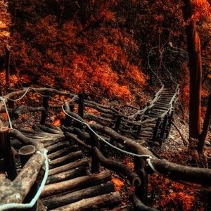 Meet your Posher, Halema