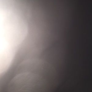 Meet your Posher, Freddie