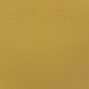 Meet your Posher, Tim