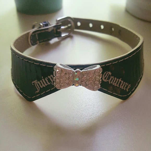 juicy couture dog collar