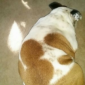 Meet your Posher, Korrynn