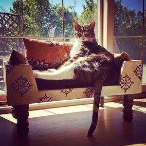 Meet your Posher, Lori