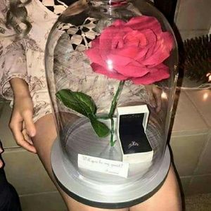 Meet your Posher, Alexislee