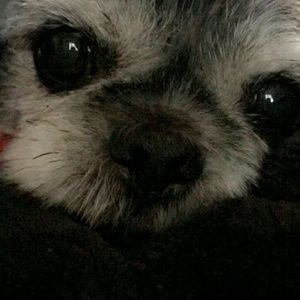 Meet your Posher, Charlene