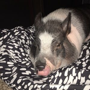 Meet your Posher, Heather