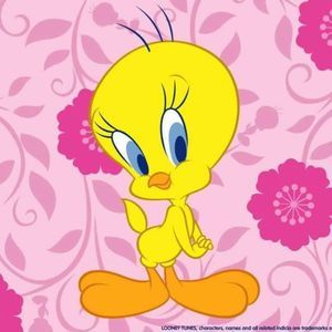 Meet your Posher, Irene g