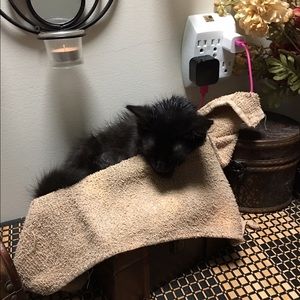 Meet your Posher, Elizabeth