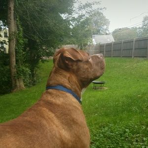 Meet your Posher, Connie