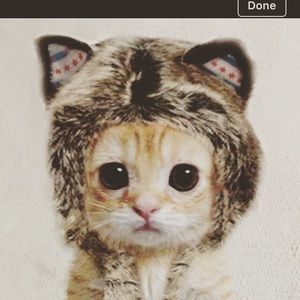 Meet your Posher, Margaret