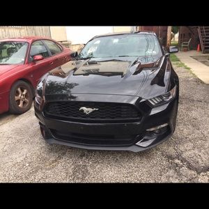 Meet your Posher, Nathan