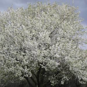 Meet your Posher, Judith