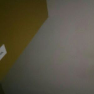 Meet your Posher, Destiny