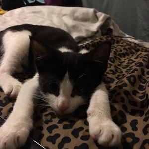 Meet your Posher, Lizette