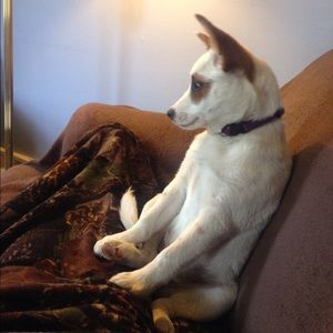 Meet your Posher, Teressa