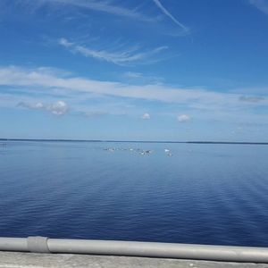 Meet your Posher, Benjamin