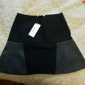 Fit n flare skirt