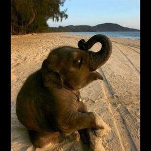 Meet your Posher, Denise