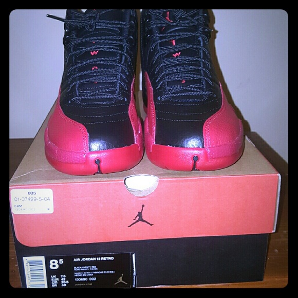 Jordan Retro XII 'Flu Game'