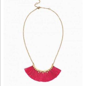 Hot Pink Fringe Necklace