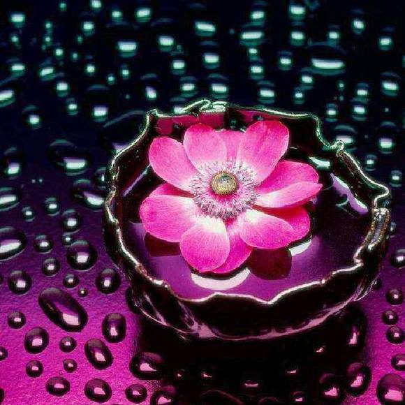 Meet your Posher, Ines - Picture 1 of 1