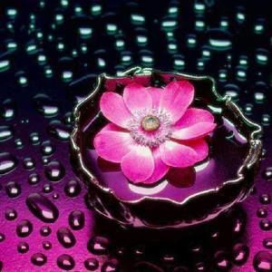 Meet your Posher, Ines