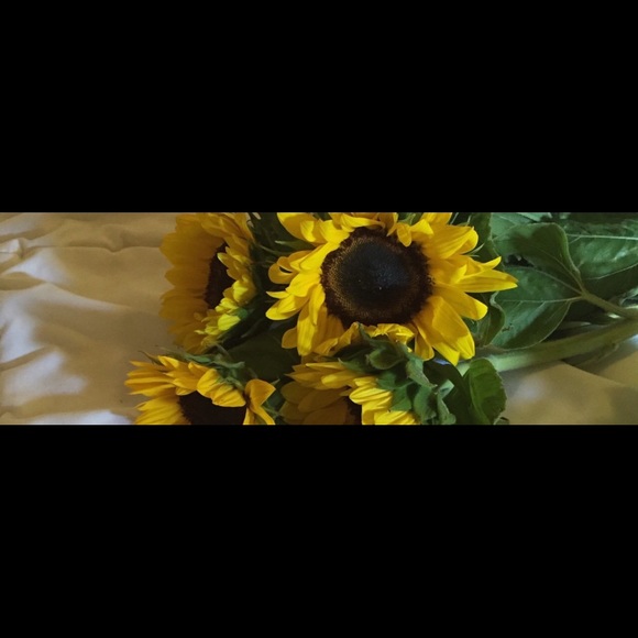 Meet your Posher, Maya - Picture 1 of 1