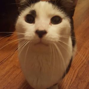 Meet your Posher, Lorna