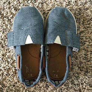 Adorable toms
