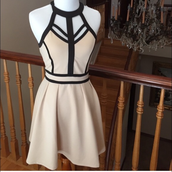 Dresses & Skirts - Cream/Black Peplum Dress