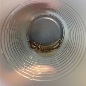 Meet your Posher, Matthew