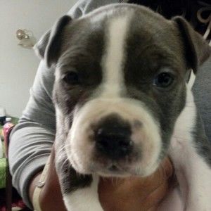 Meet your Posher, Beverly