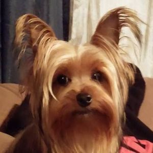 Meet your Posher, Jackie