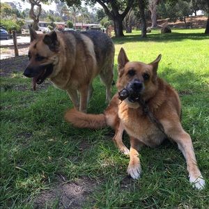 Meet your Posher, Genessa