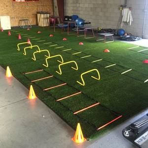 Meet your Posher, Reggie