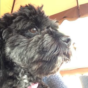 Meet your Posher, Joanne