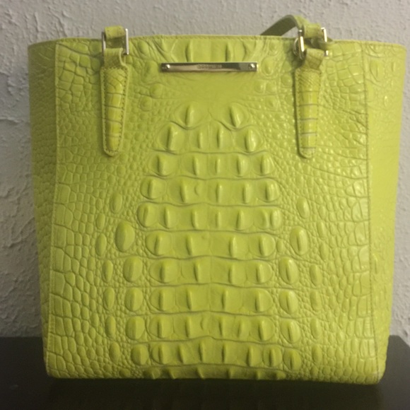 Neon Brahmin