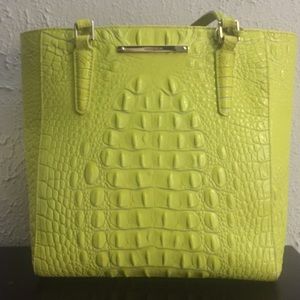 Neon Brahmin