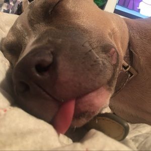 Meet your Posher, Jamie